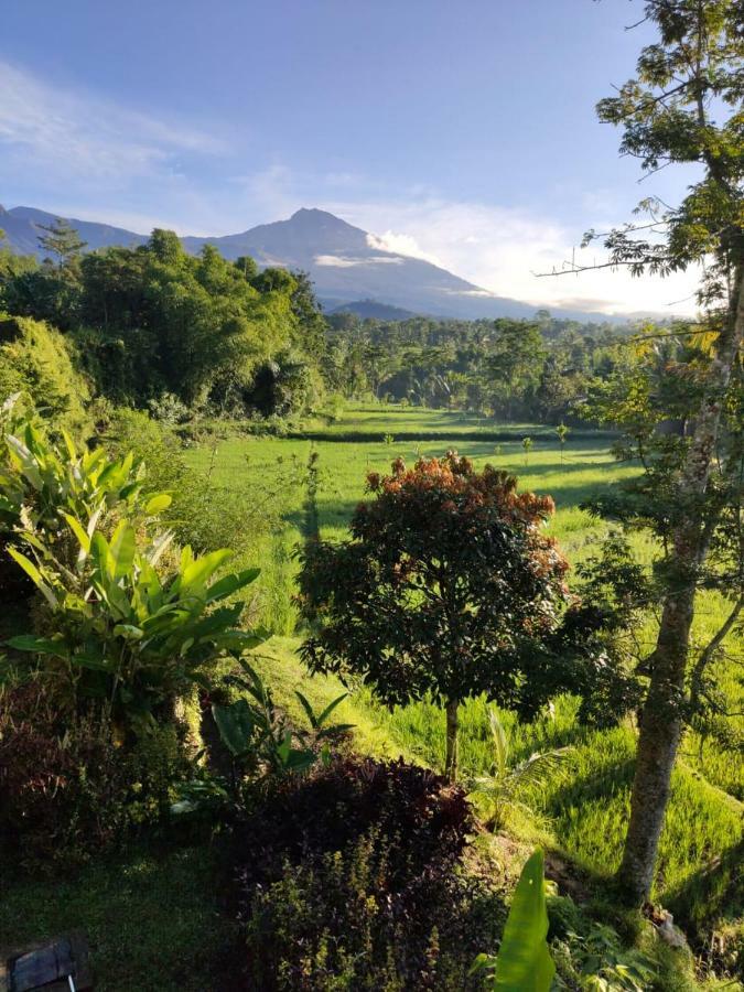 Aryasuta Bungalow Tetebatu Eksteriør bilde