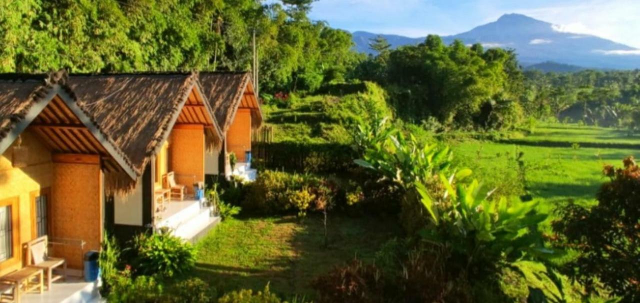 Aryasuta Bungalow Tetebatu Eksteriør bilde